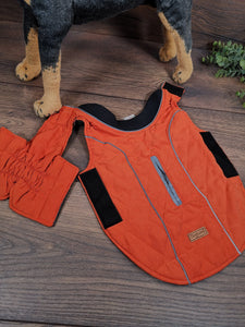 Hundmantel Orange mit Namen, Hundemantel personalisiert, Hundemantel für Geschirr, Hundemantel für den Winter, Hundemantel mit Bauchschutz