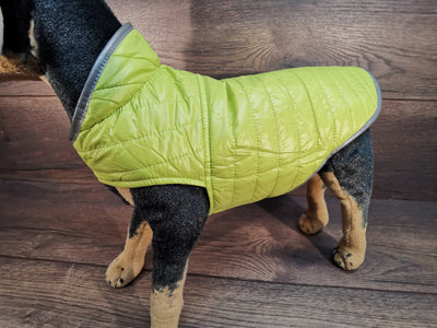 Hundemantel mit Klett, Hundemantel mit Namen, Hundemantel wasserabweisend, Hundemantel personalisiert, Hundemantel Geschirrträger