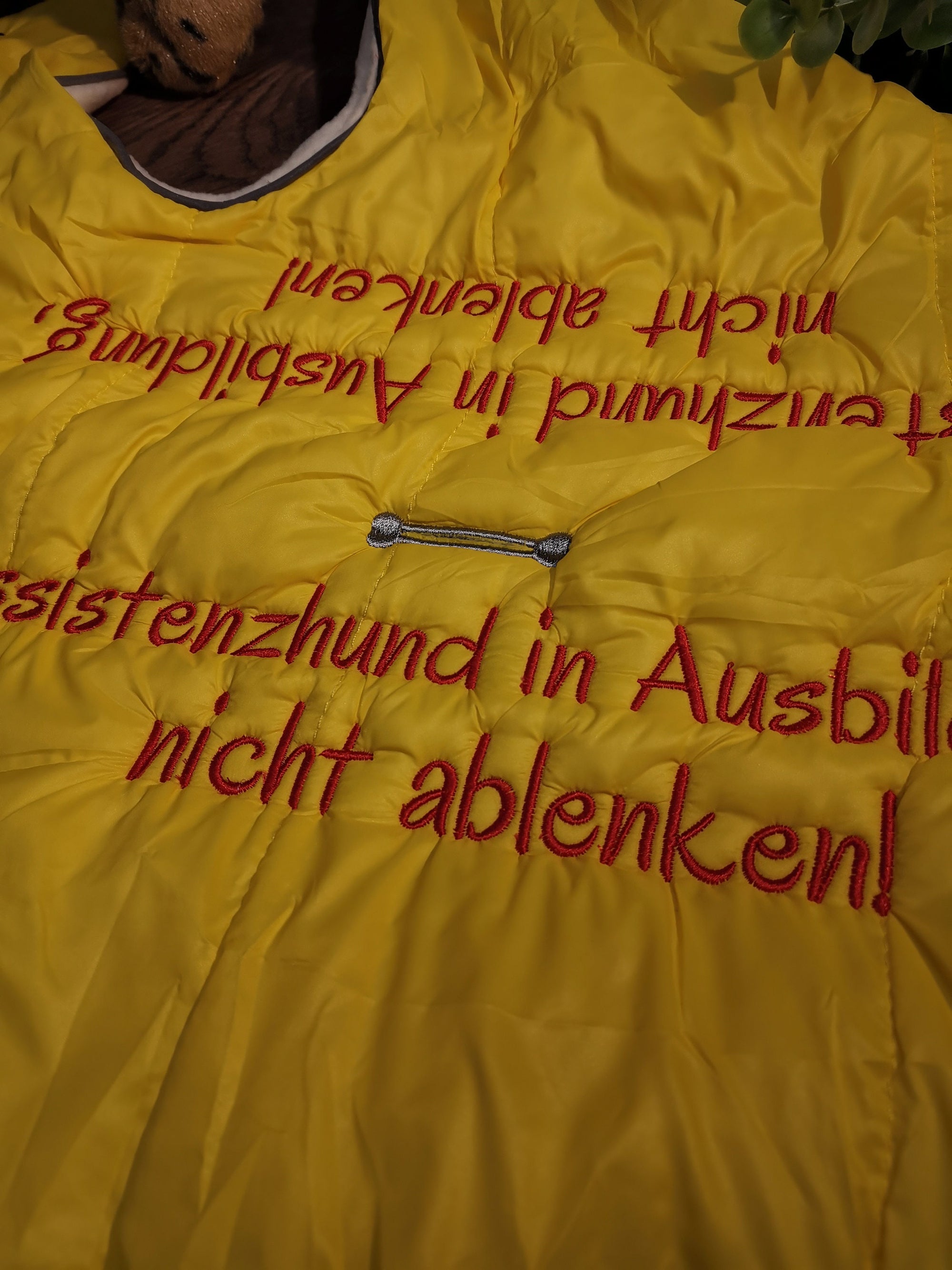 Hundemantel mit Fleece in gelb, Hundemantel mit Namen, Hundemantel wasserabweisend, Hundemantel für kleine Hunde, Hunde Wintermantel