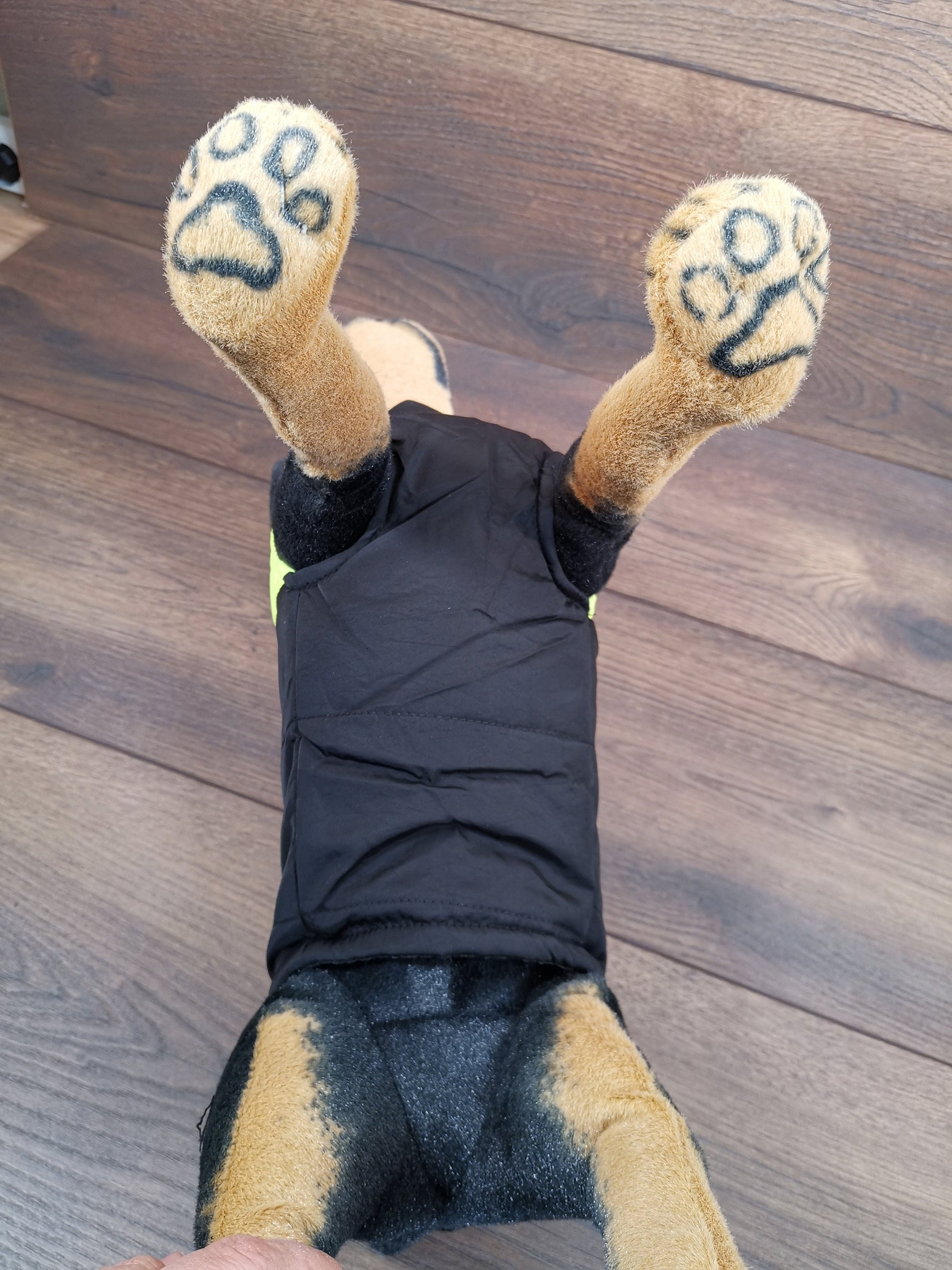 Hundemantel mit Bauchschutz, Hundemantel große Hunde und kleine Hunde, Hundemantel Dackel, Hundemantel mit Namen, Hundemantel bei Regen