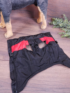 Hundemantel mit Bauchschutz, Hundemantel große Hunde und kleine Hunde, Hundemantel Dackel, Hundemantel mit Namen, Hundemantel bei Regen