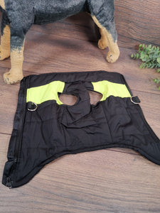 Hundemantel mit Bauchschutz, Hundemantel große Hunde und kleine Hunde, Hundemantel Dackel, Hundemantel mit Namen, Hundemantel bei Regen