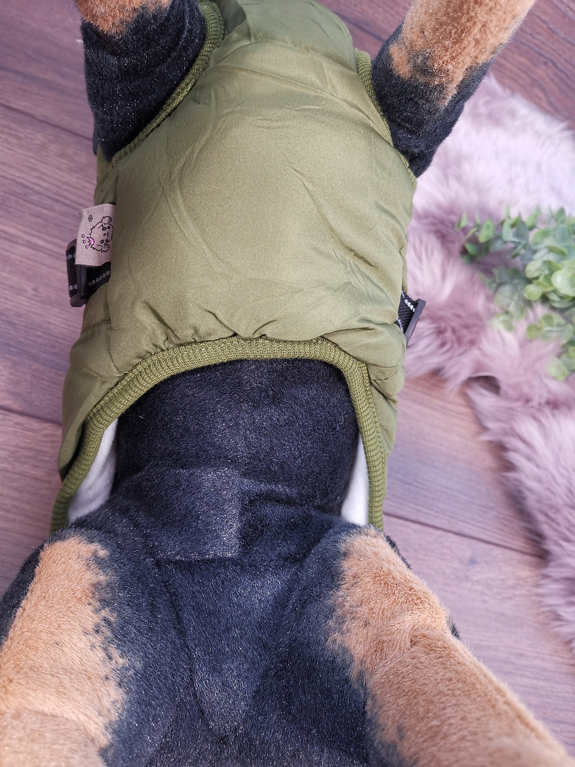 Weicher Hundemantel mit Bauschutz und Leinenhalter in Grün