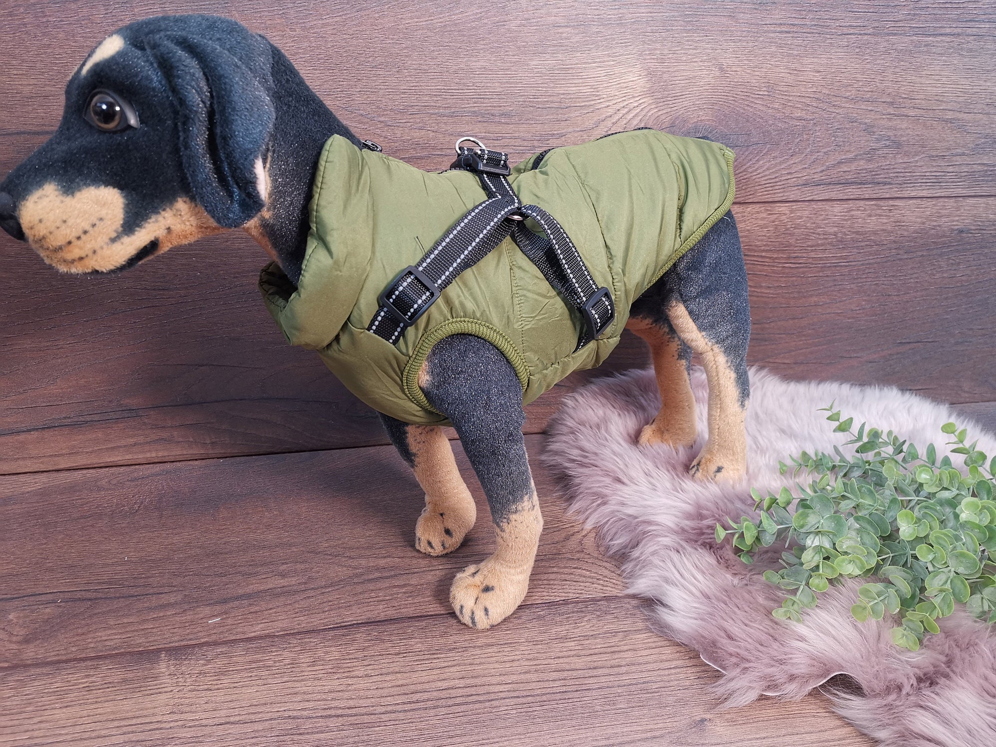 Weicher Hundemantel mit Bauschutz und Leinenhalter in Grün