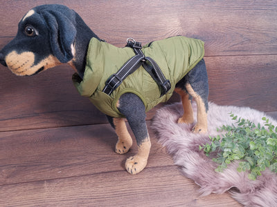 Weicher Hundemantel mit Bauschutz und Leinenhalter in Grün