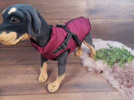 Weicher Hundemantel mit Bauschutz und Leinenhalter in Lila