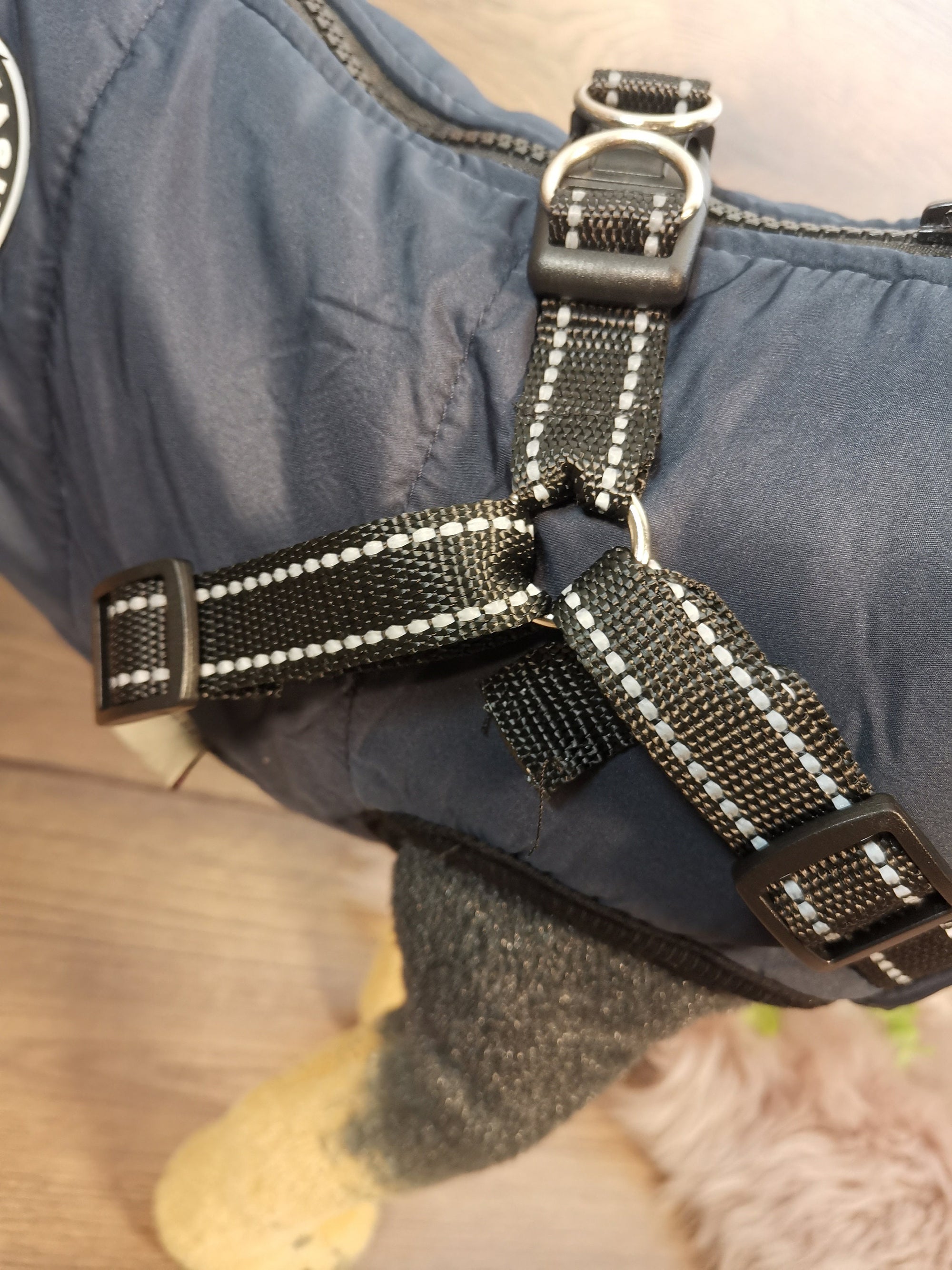 Weicher Hundemantel mit Bauschutz und Leinenhalter Dunkeblau
