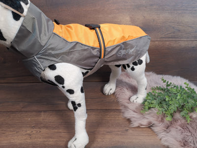 Leichter Regenschutz für deinen Hund: Dünner Hundemantel gegen Nässe in Blau/Grau