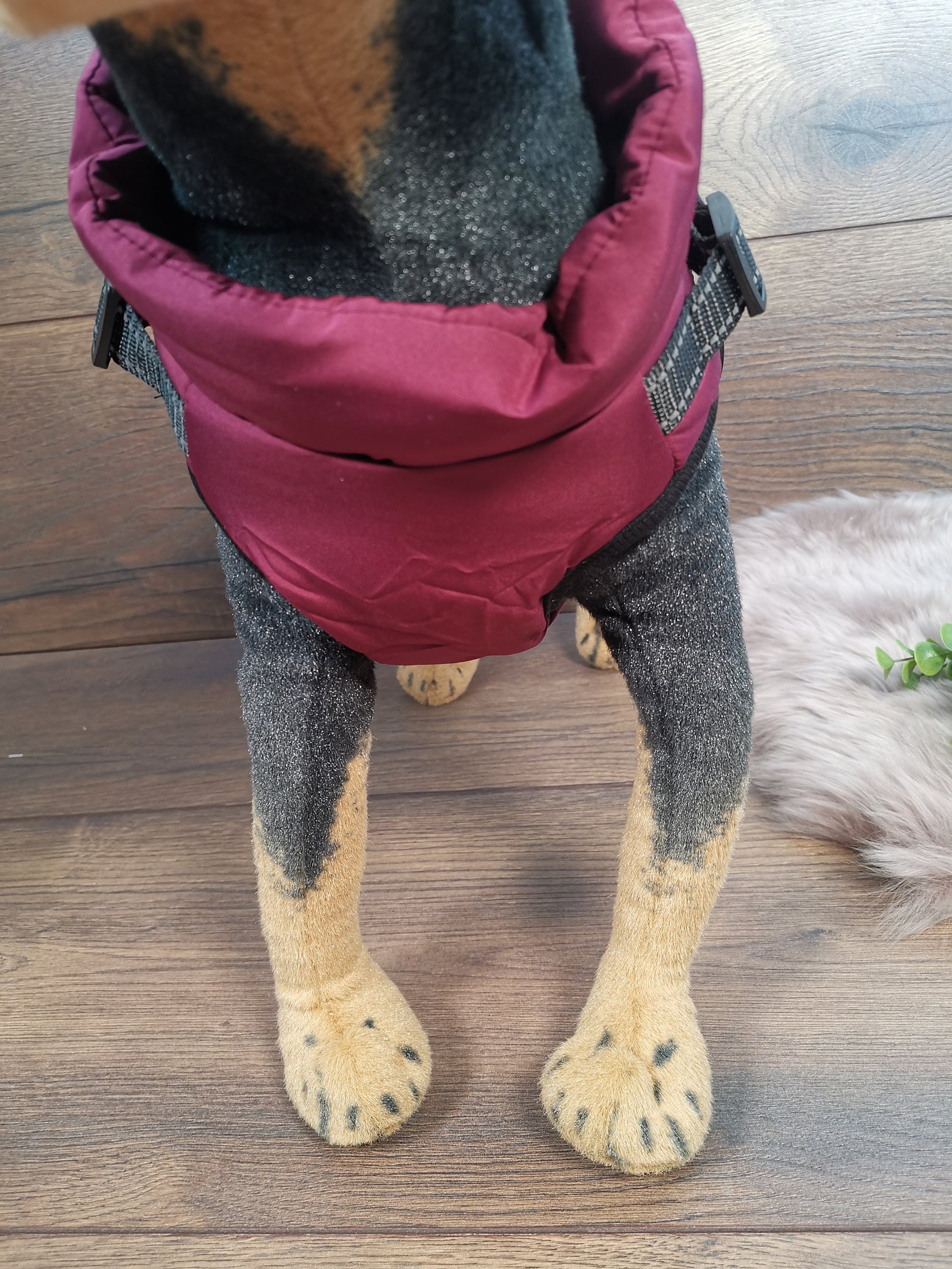 Weicher Hundemantel mit Bauschutz und Leinenhalter in Lila