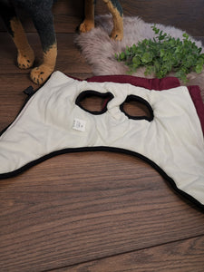 Weicher Hundemantel mit Bauschutz und Leinenhalter in Lila