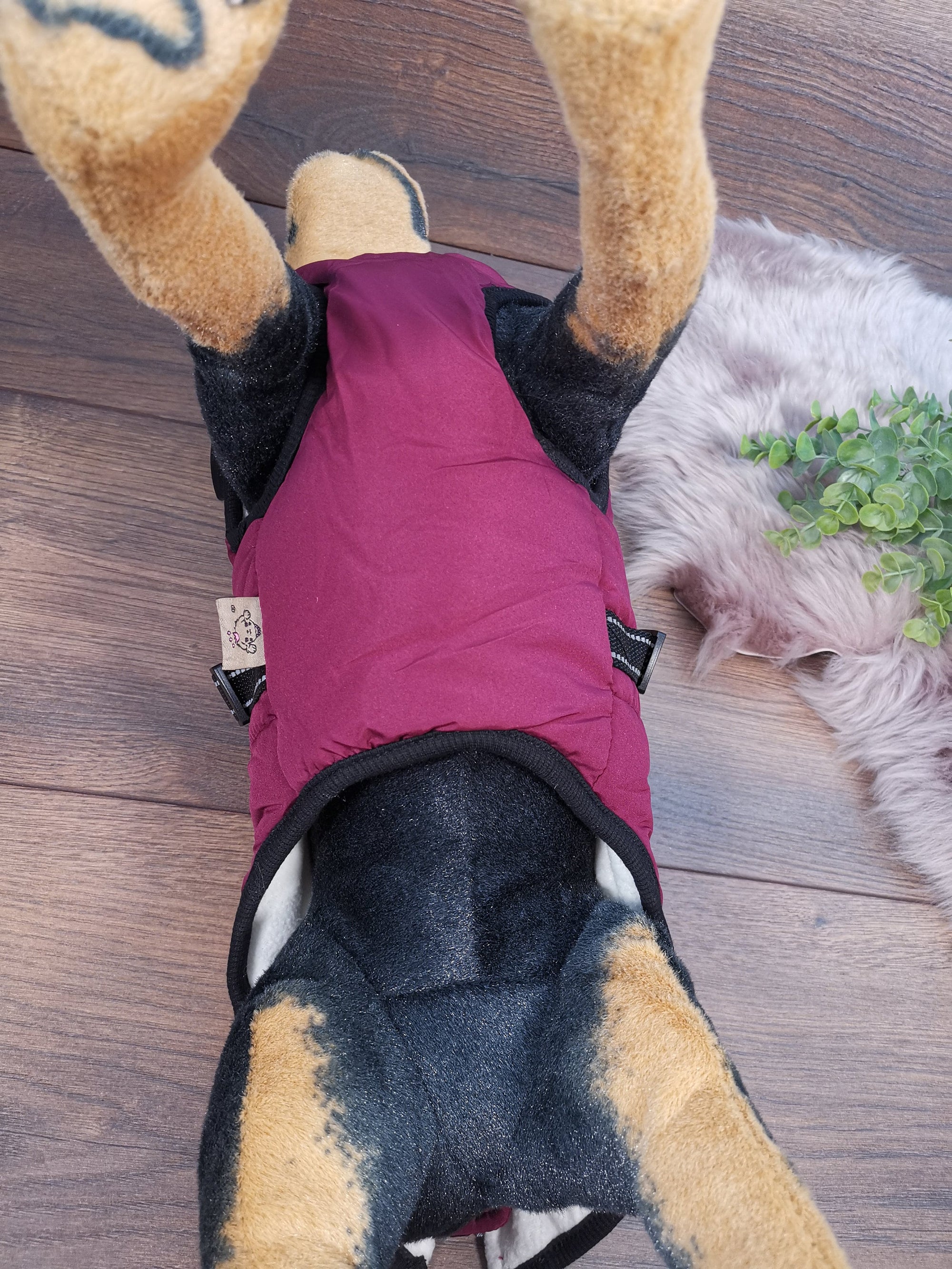 Weicher Hundemantel mit Bauschutz und Leinenhalter in Lila