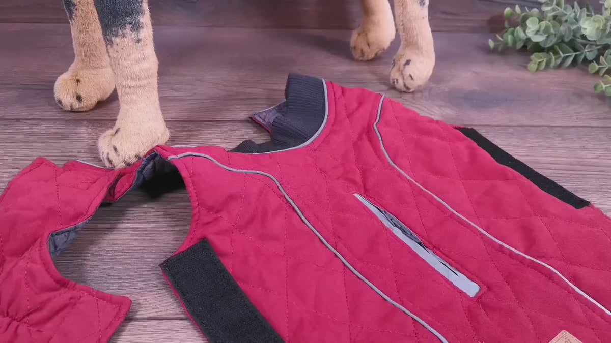 Hundmantel Rosa mit Namen, Hundemantel personalisiert, Hundemantel für Geschirr, Hundemantel für den Winter, Hundemantel mit Bauchschutz
