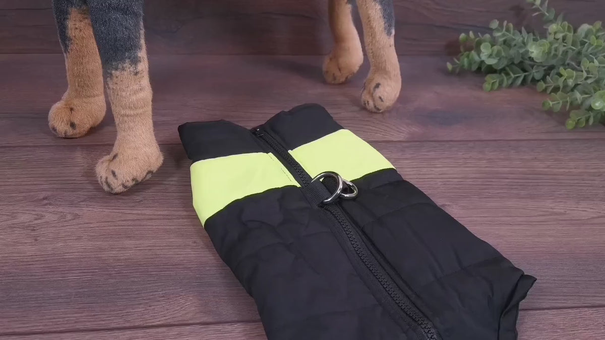 Hundemantel mit Bauchschutz, bei Regen geeignet in Schwarz/Rosa