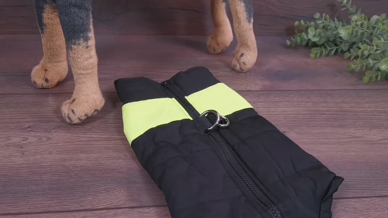 Hundemantel mit Bauchschutz, bei Regen geeignet in Schwarz/Rosa