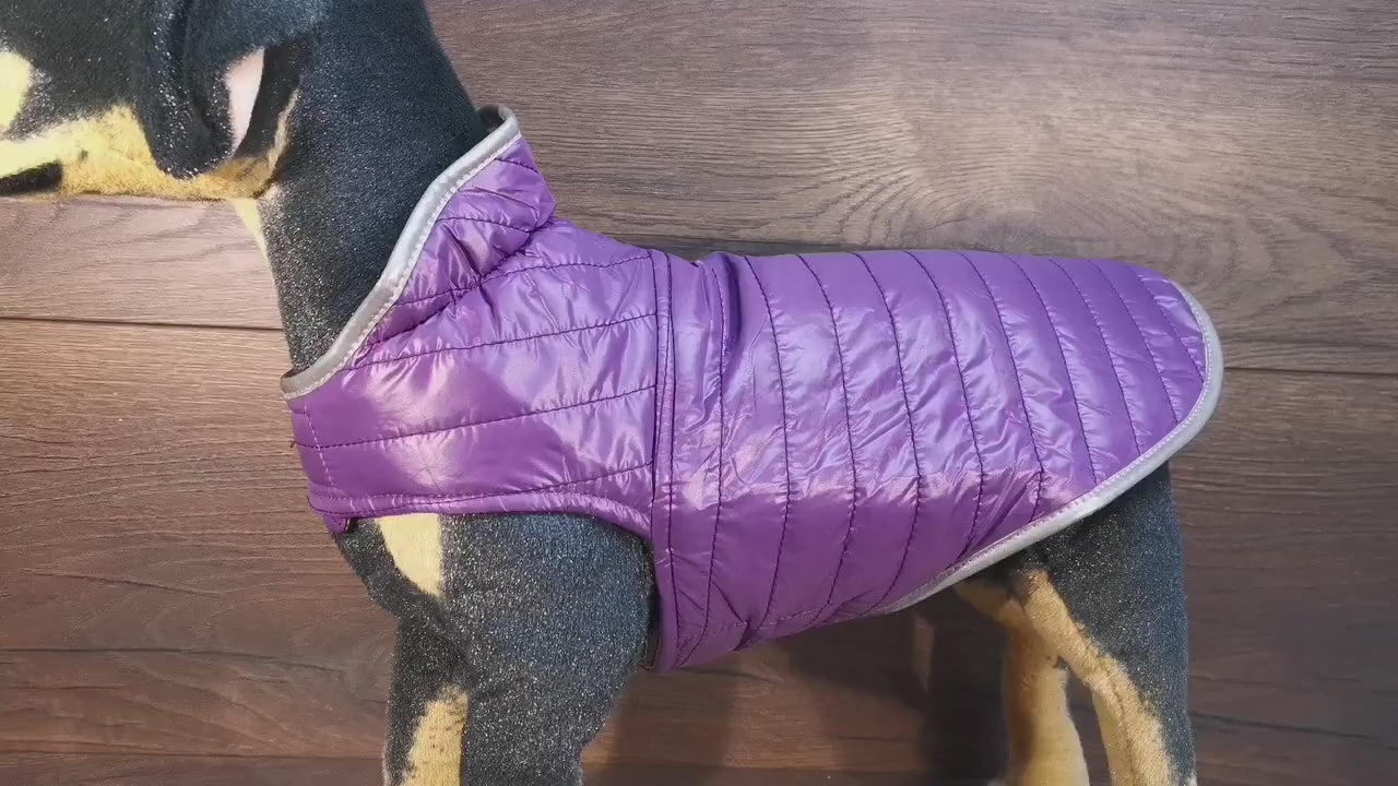 Hundemantel mit Klettverschluss, wasserabweisend, personalisiert und für Geschirrträger geeignet, Blau/Gelb