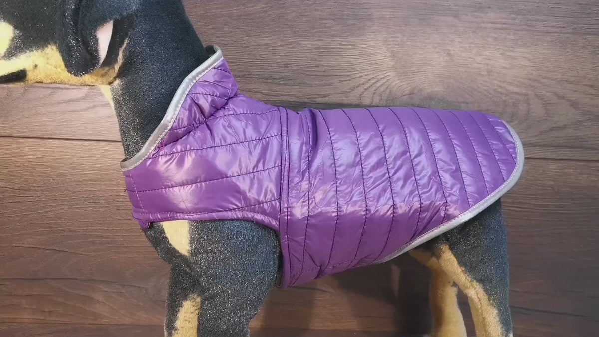 Hundemantel mit Klettverschluss, wasserabweisend, mit Namen bestickt, für Geschirrträger geeignet Ocker/Gold