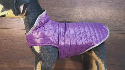 Hundemantel mit Klettverschluss, wasserabweisend, mit Namen bestickt, für Geschirrträger geeignet Ocker/Gold