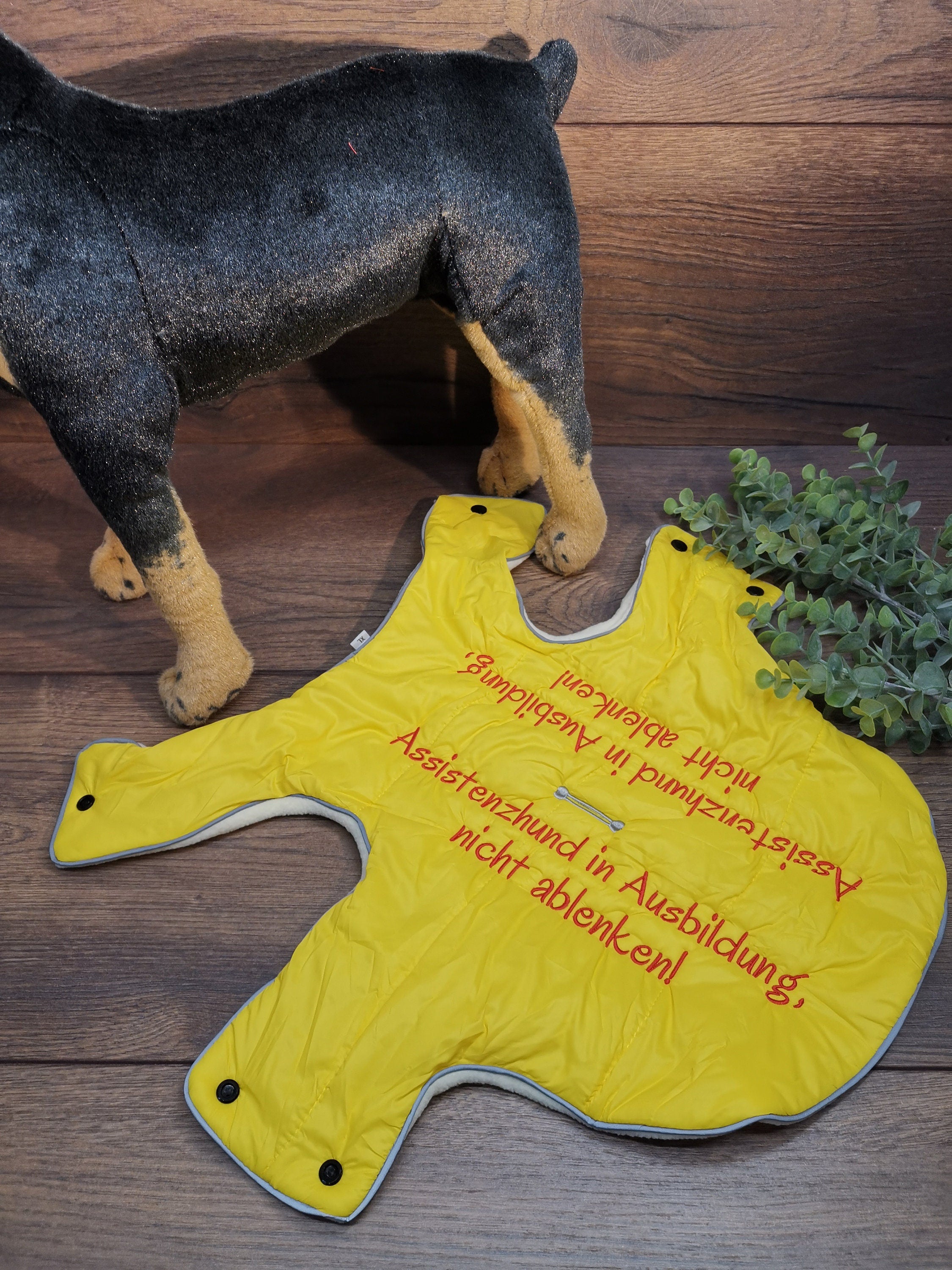 Hundemantel mit Fleece in gelb, Hundemantel mit Namen, Hundemantel wasserabweisend, Hundemantel für kleine Hunde, Hunde Wintermantel