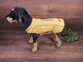 Hundmantel Gelb mit Namen, Hundemantel personalisiert, Hundemantel für Geschirr, Hundemantel für den Winter, Hundemantel mit Bauchschutz