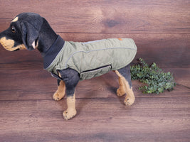 Hundmantel Grün mit Namen, Hundemantel personalisiert, Hundemantel für Geschirr, Hundemantel für den Winter, Hundemantel mit Bauchschutz