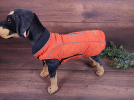 Hundmantel Orange mit Namen, Hundemantel personalisiert, Hundemantel für Geschirr, Hundemantel für den Winter, Hundemantel mit Bauchschutz