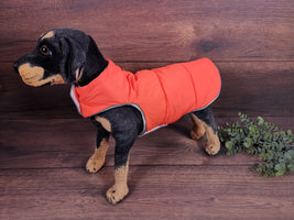 Hundemantel orange mit Fleece Druckknöpfen, Hundemantel mit Namen, Hundemantel große Hunde, Hundemantel personalisiert, Hundemantel Winter