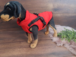 Weicher Hundemantel mit Bauschutz und Leinenhalter in Rot