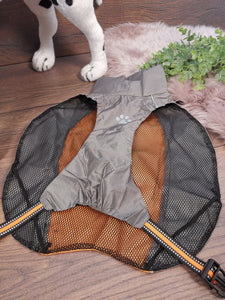 Leichter Regenschutz für deinen Hund: Dünner Hundemantel gegen Nässe in Orange/Grau